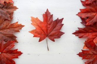 While a Nice Place, Canada is not the Best Place to Litigate U.S. IP | IP Law Firm | Harness IP shutterstock canada | Intellectual Property Law Firm | Harness IP