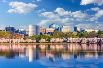 Washington DC Skyline Cherry Blossoms Day e1656607112263 | Intellectual Property Law Firm | Harness IP